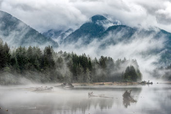 Foggy day - Free image #459779